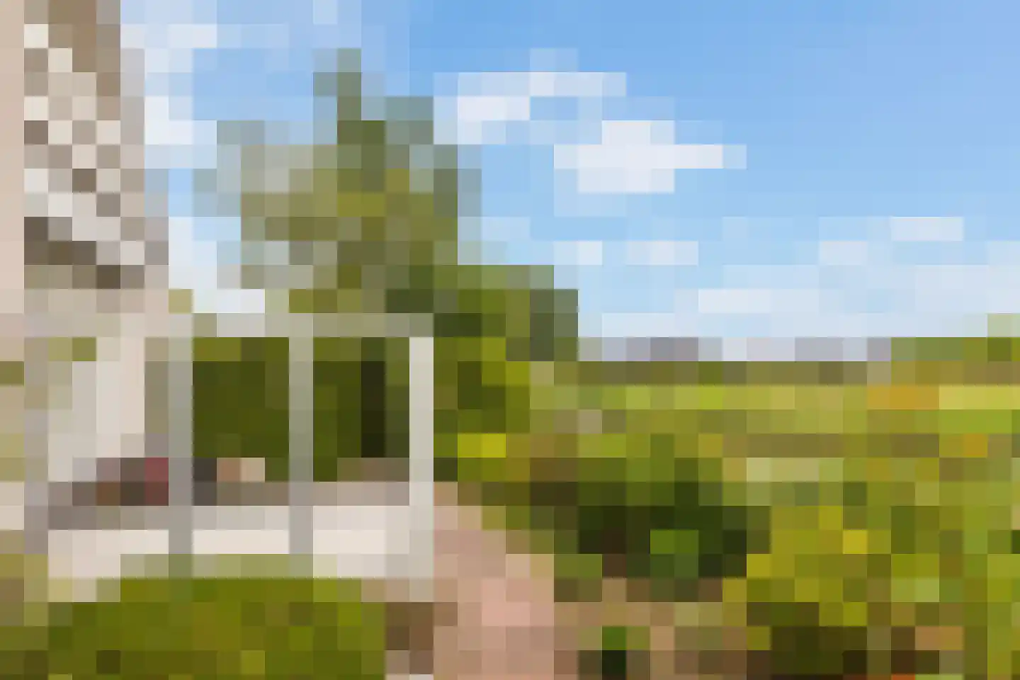 De Woudhorne 83 A Dokkum thumbnail 33