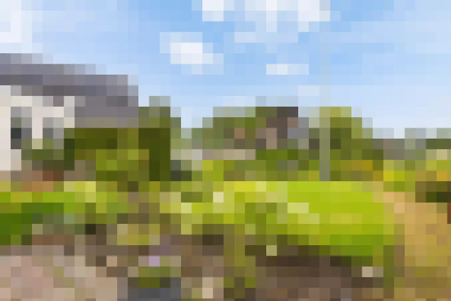De Woudhorne 83 A Dokkum thumbnail 34