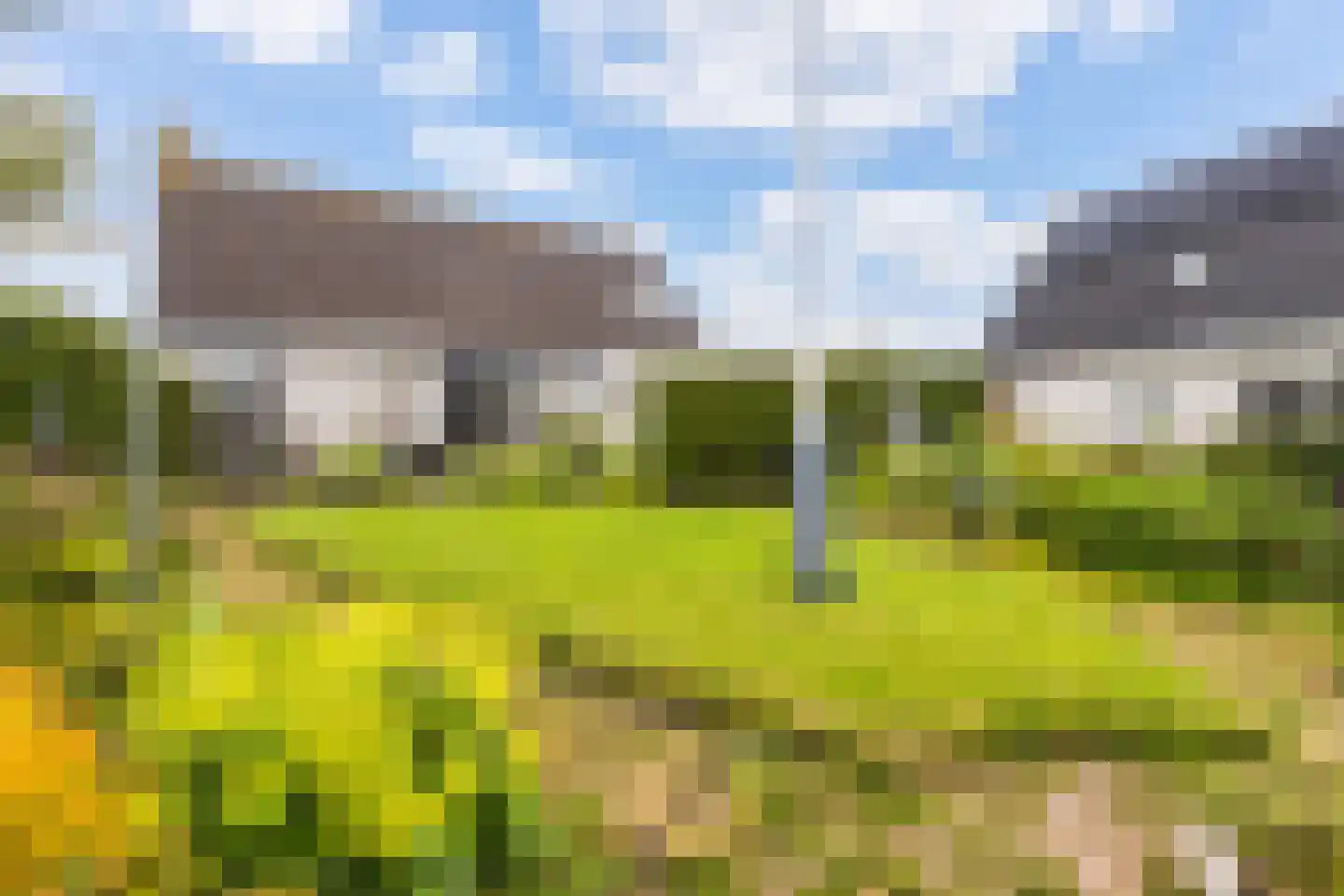 De Woudhorne 83 A Dokkum thumbnail 35