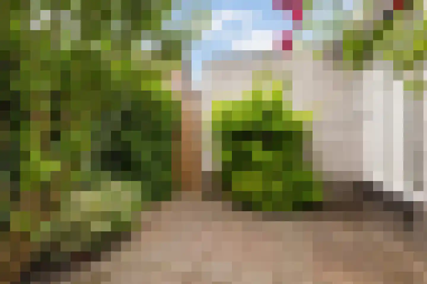 De Woudhorne 83 A Dokkum thumbnail 38