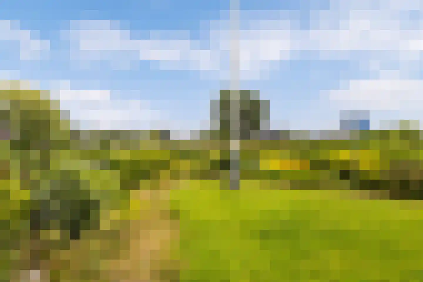De Woudhorne 83 A Dokkum thumbnail 40