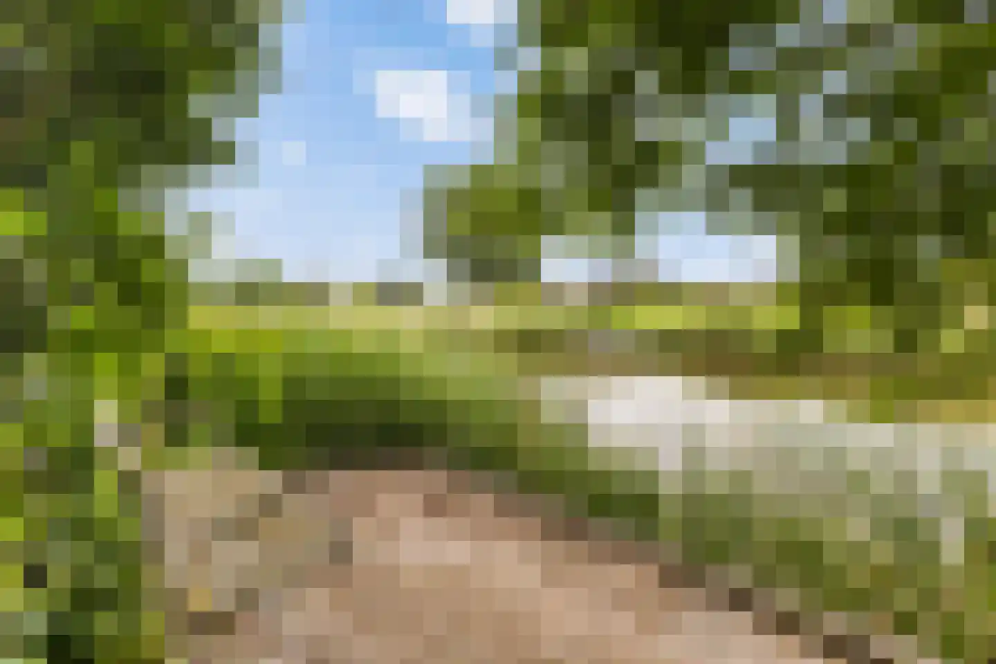 De Woudhorne 83 A Dokkum thumbnail 41