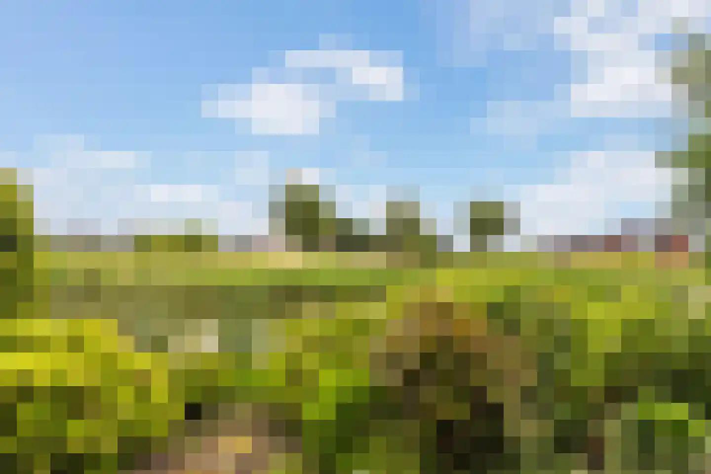 De Woudhorne 83 A Dokkum thumbnail 42