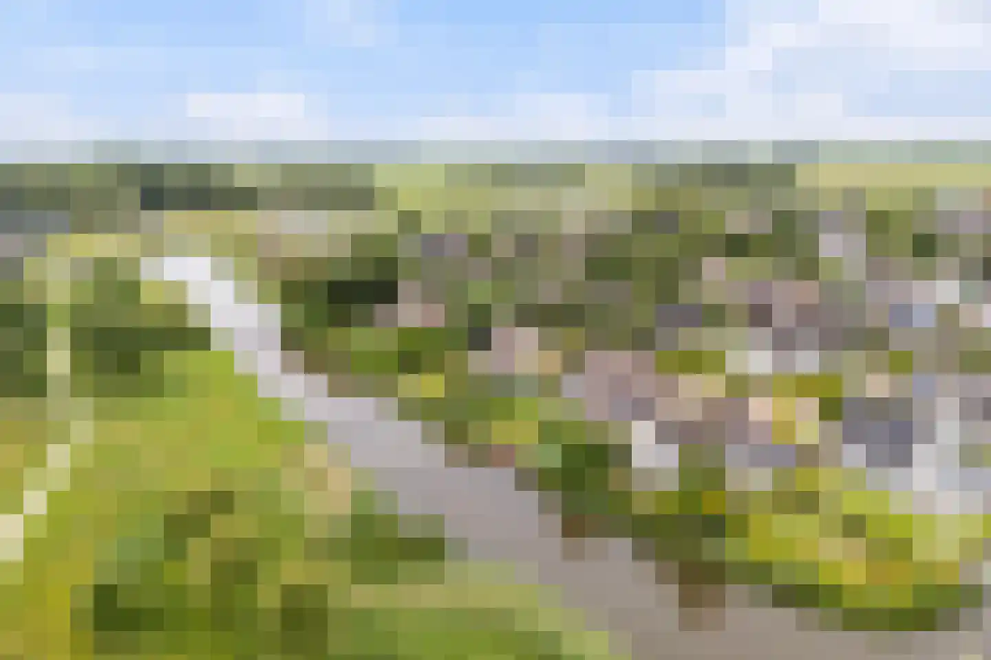 De Woudhorne 83 A Dokkum thumbnail 5