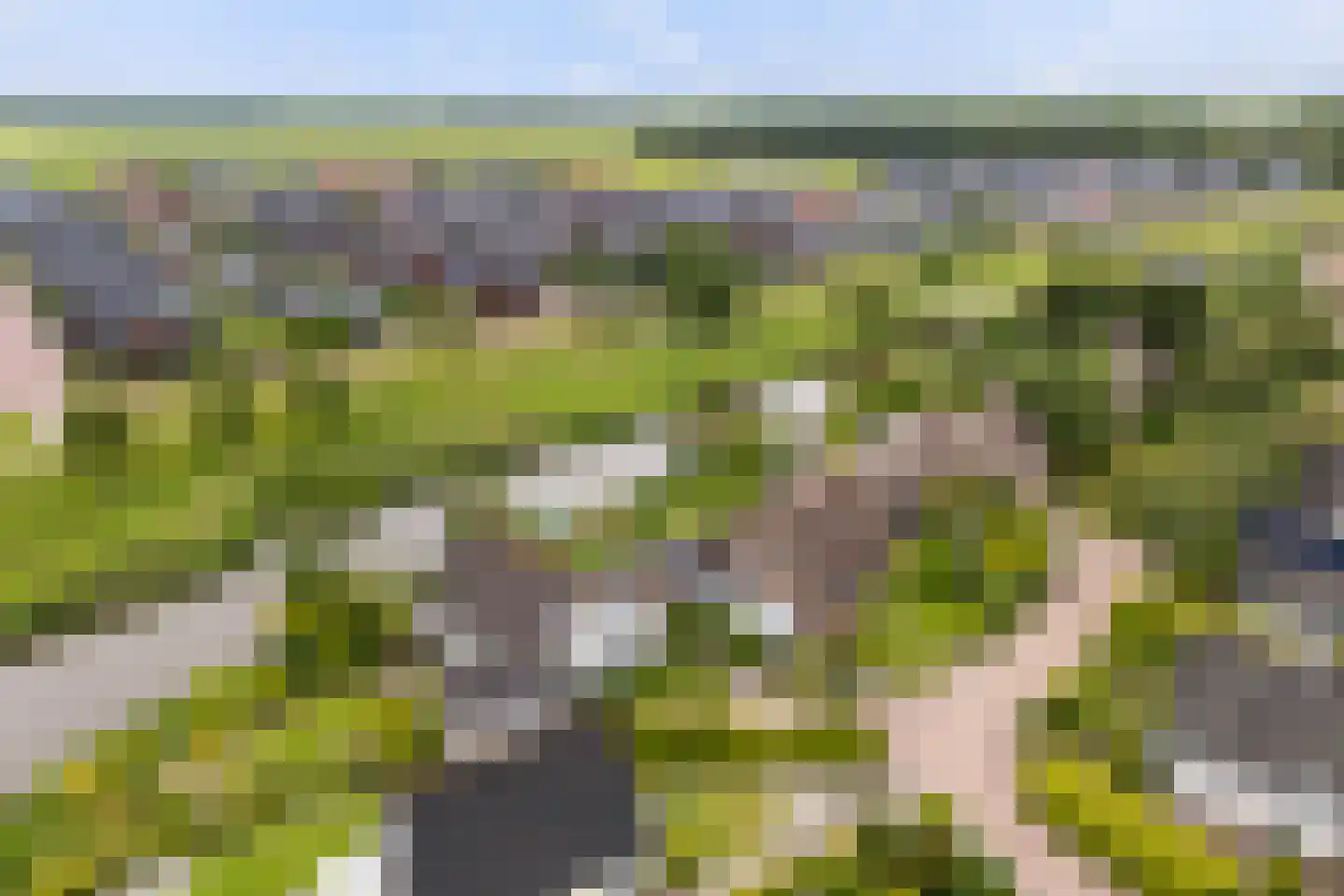 De Woudhorne 83 A Dokkum thumbnail 51