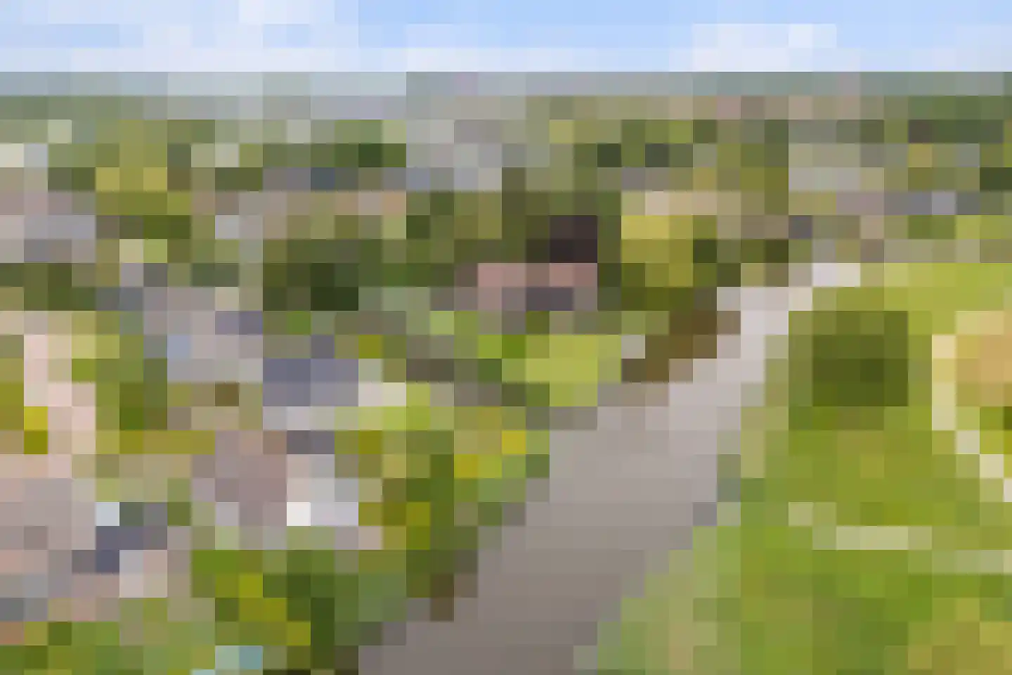 De Woudhorne 83 A Dokkum thumbnail 6