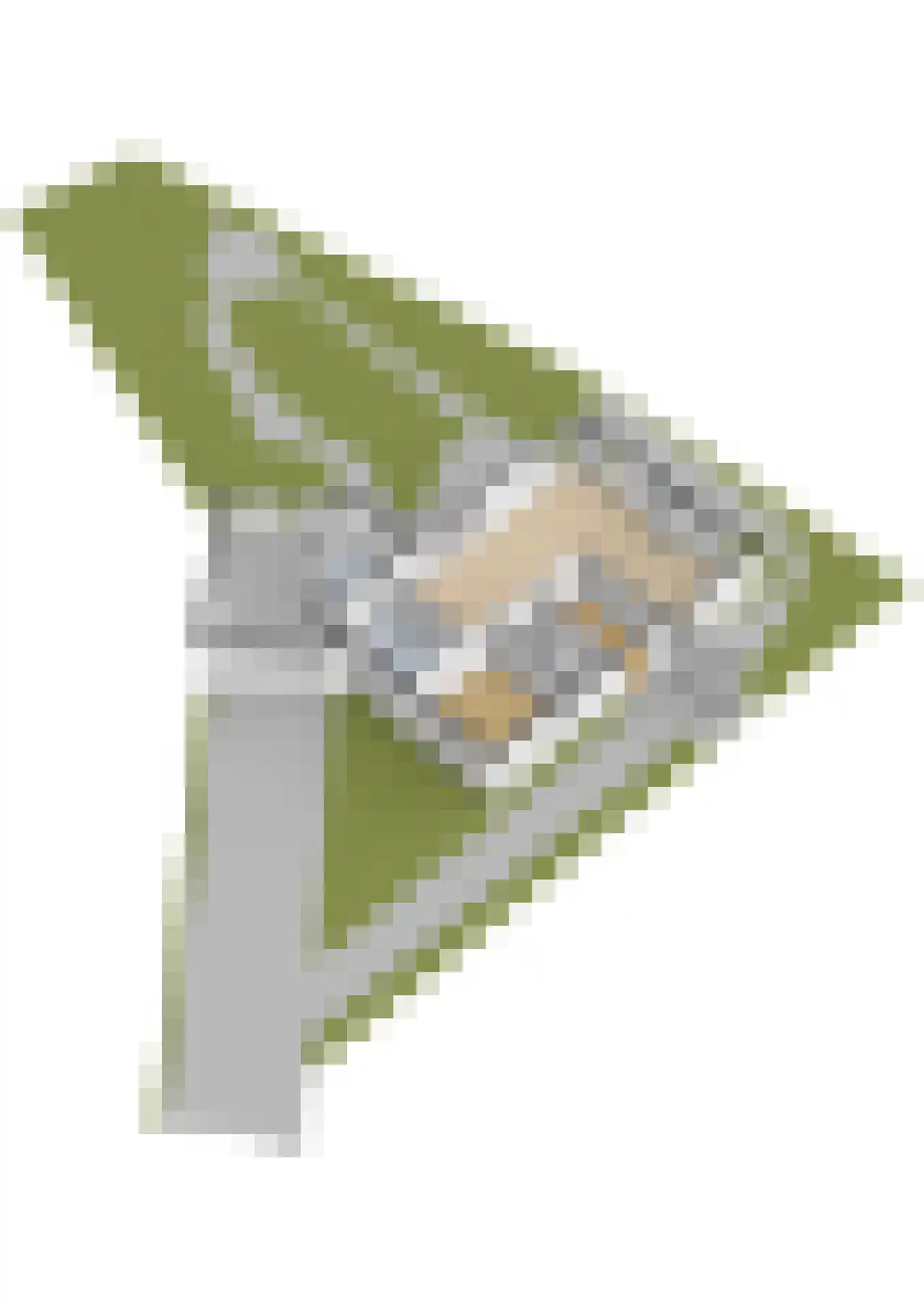 De Woudhorne 83 A Dokkum thumbnail 60