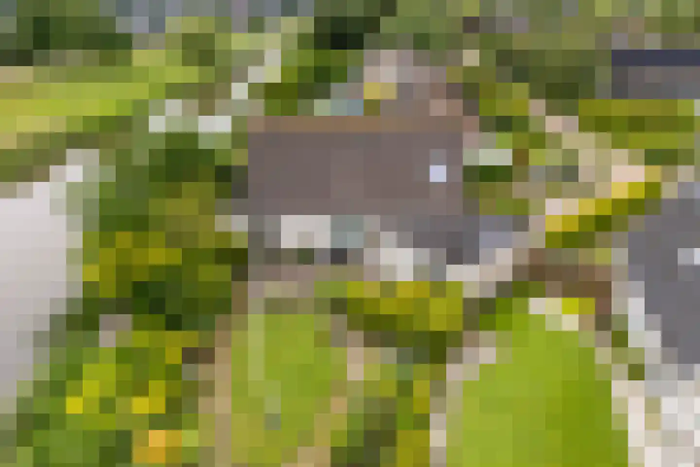 De Woudhorne 83 A Dokkum thumbnail 7
