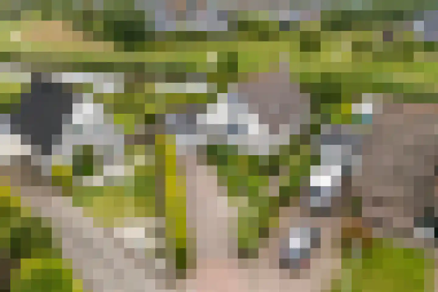 De Woudhorne 83 A Dokkum thumbnail 8