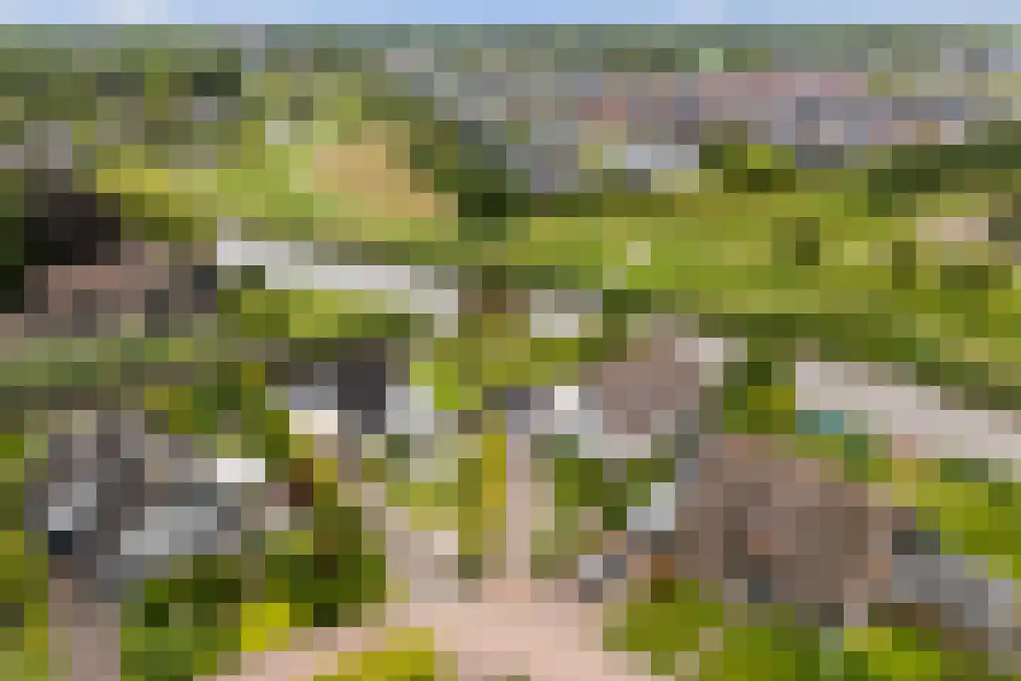 De Woudhorne 83 A Dokkum thumbnail 9