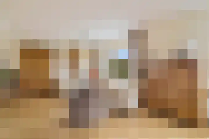 De Woudhorne 83 Dokkum thumbnail 10