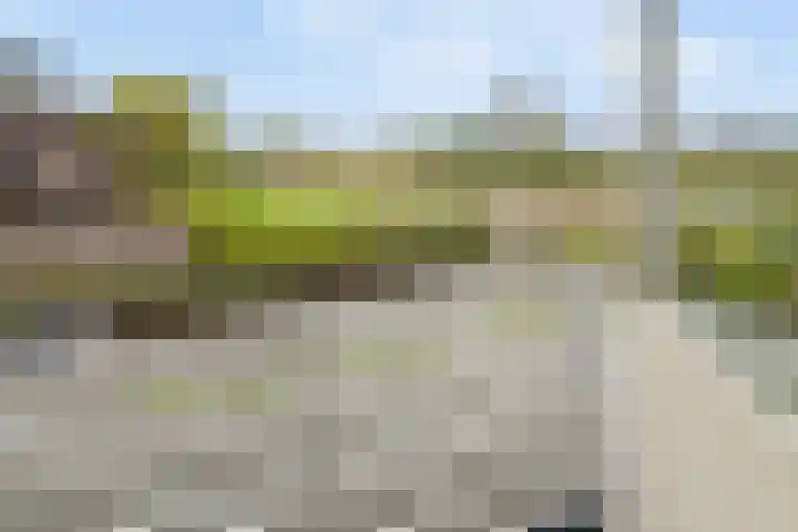 De Woudhorne 83 Dokkum thumbnail 22