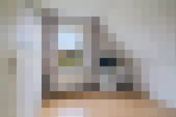 De Woudhorne 83 Dokkum thumbnail 27