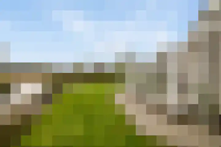 De Woudhorne 83 Dokkum thumbnail 29