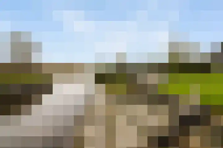 De Woudhorne 83 Dokkum thumbnail 30