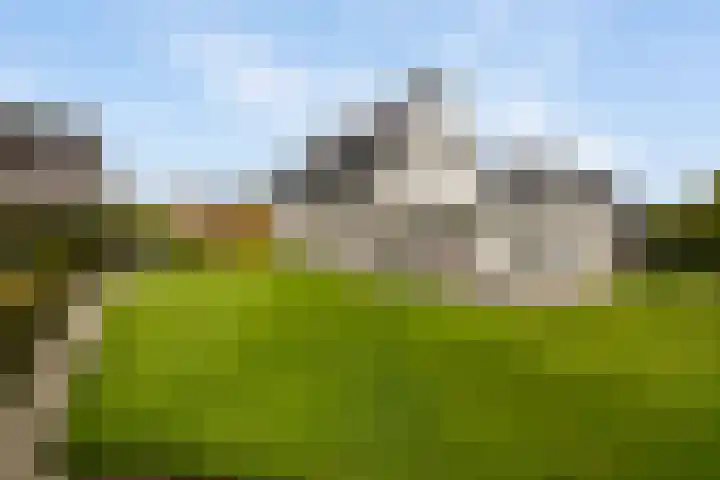 De Woudhorne 83 Dokkum thumbnail 31