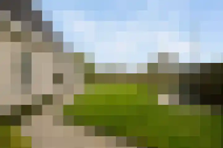 De Woudhorne 83 Dokkum thumbnail 32