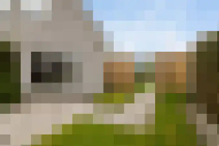 De Woudhorne 83 Dokkum thumbnail 33