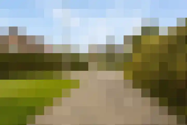 De Woudhorne 83 Dokkum thumbnail 34