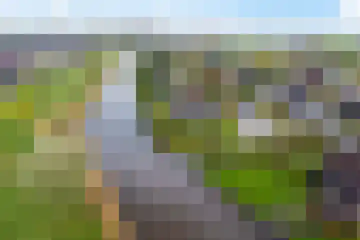 De Woudhorne 83 Dokkum thumbnail 36