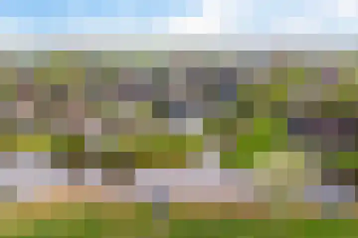 De Woudhorne 83 Dokkum thumbnail 37