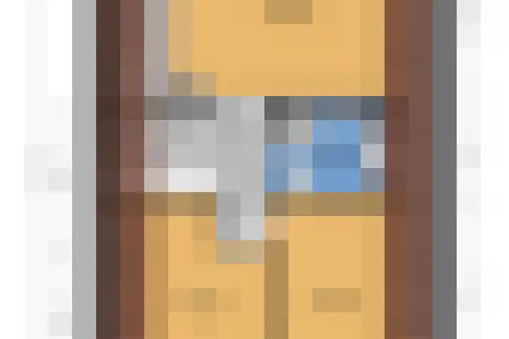 De Woudhorne 83 Dokkum thumbnail 39