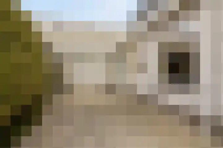 De Woudhorne 83 Dokkum thumbnail 4