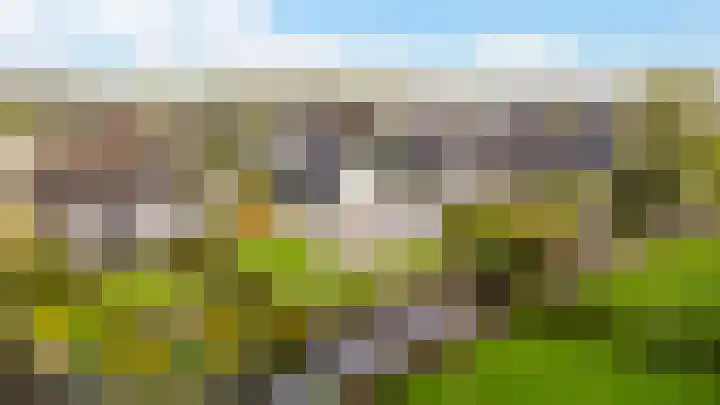 De Woudhorne 83 Dokkum thumbnail 41