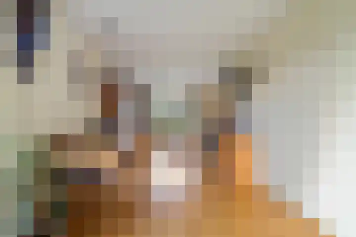 De Woudhorne 83 Dokkum thumbnail 7