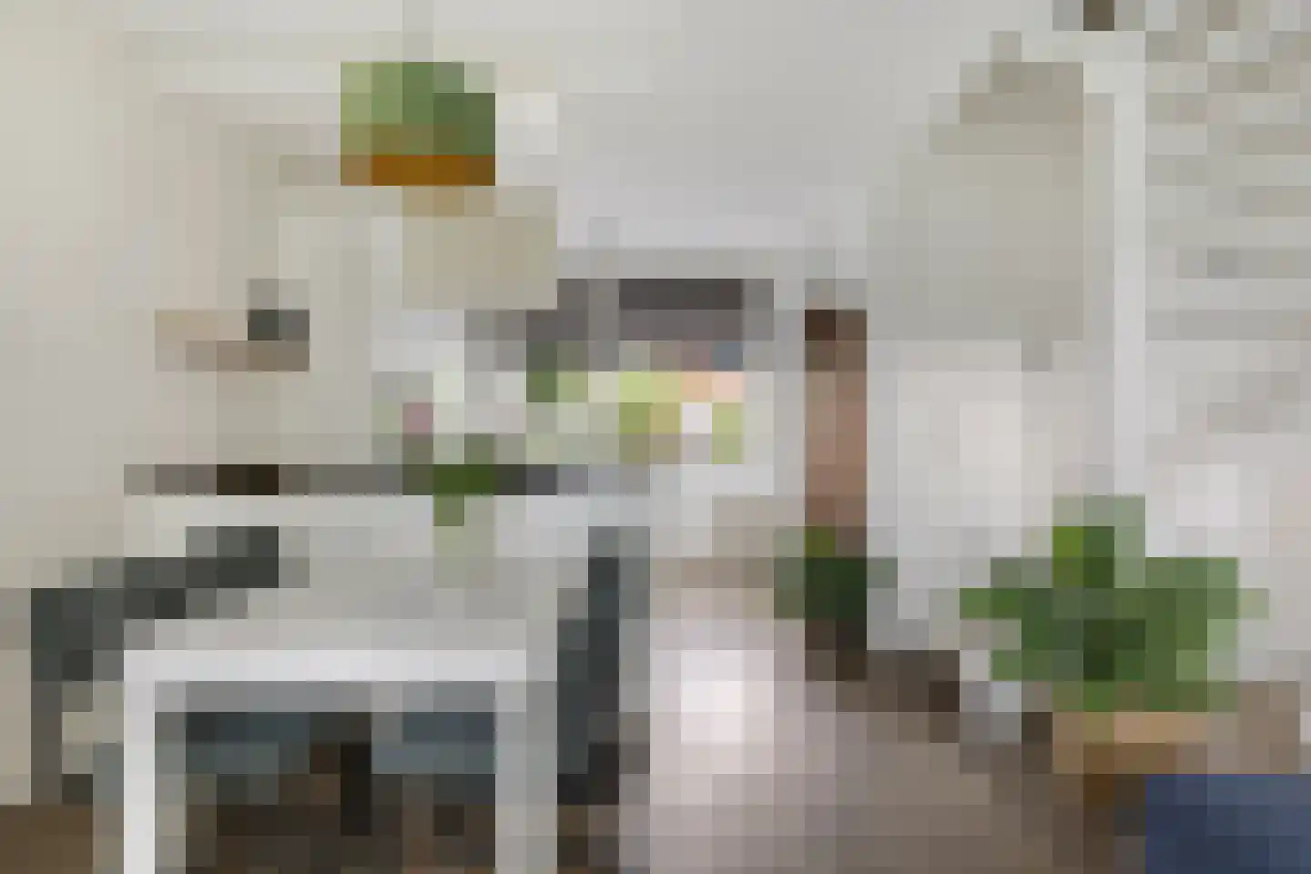 De Wouw 106 Gemert thumbnail 11
