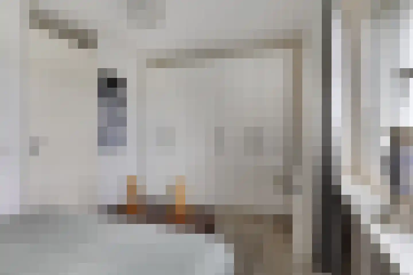 De Wouw 106 Gemert thumbnail 16