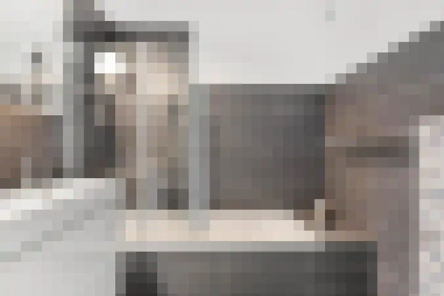 De Wouw 106 Gemert thumbnail 17