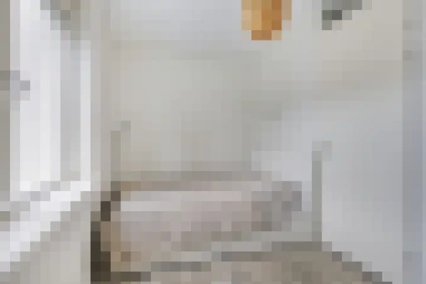 De Wouw 106 Gemert thumbnail 19