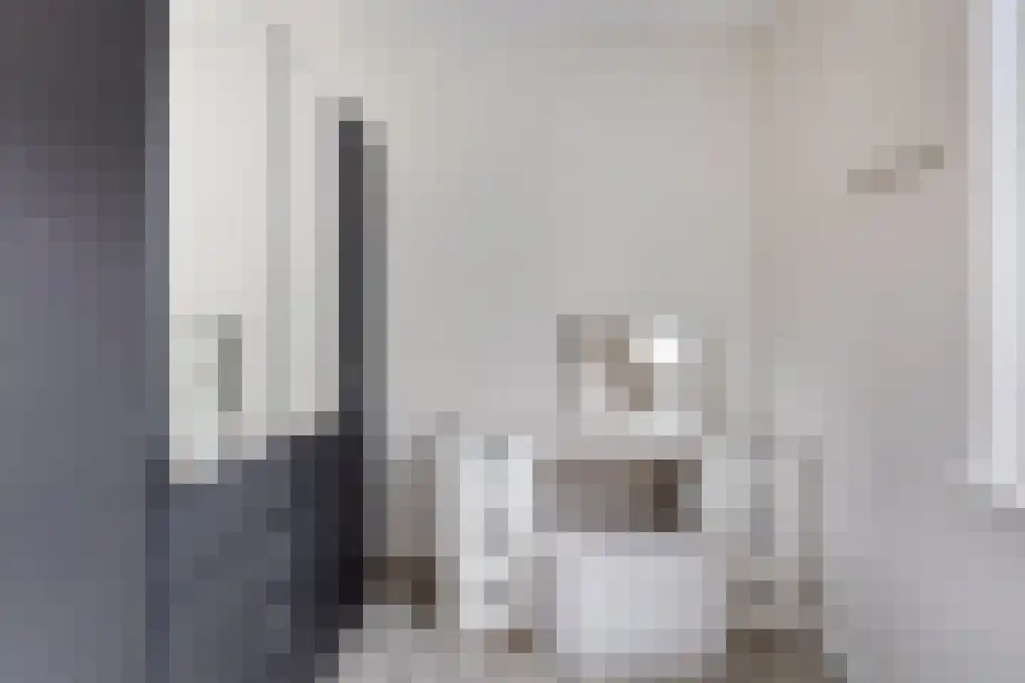 De Wouw 106 Gemert thumbnail 20