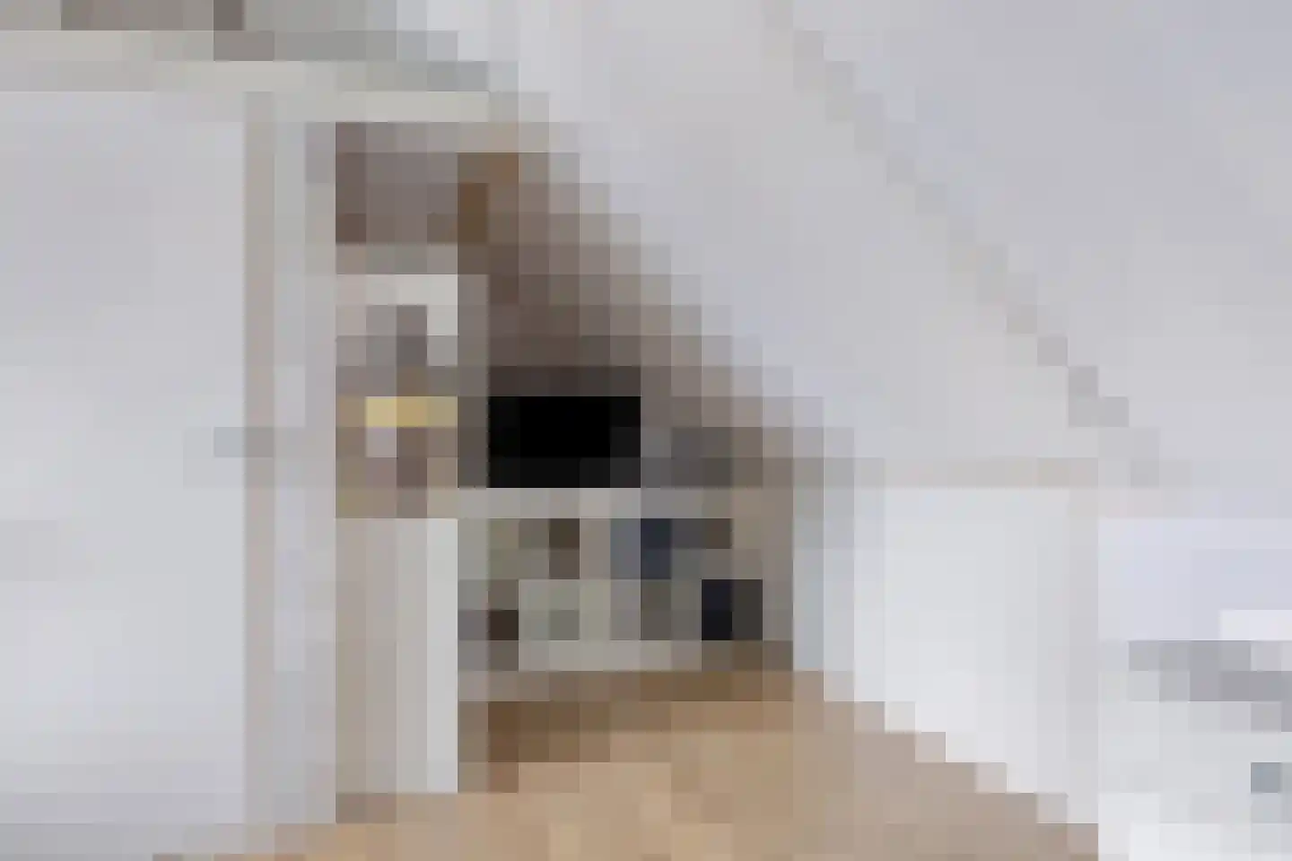 De Wouw 106 Gemert thumbnail 22