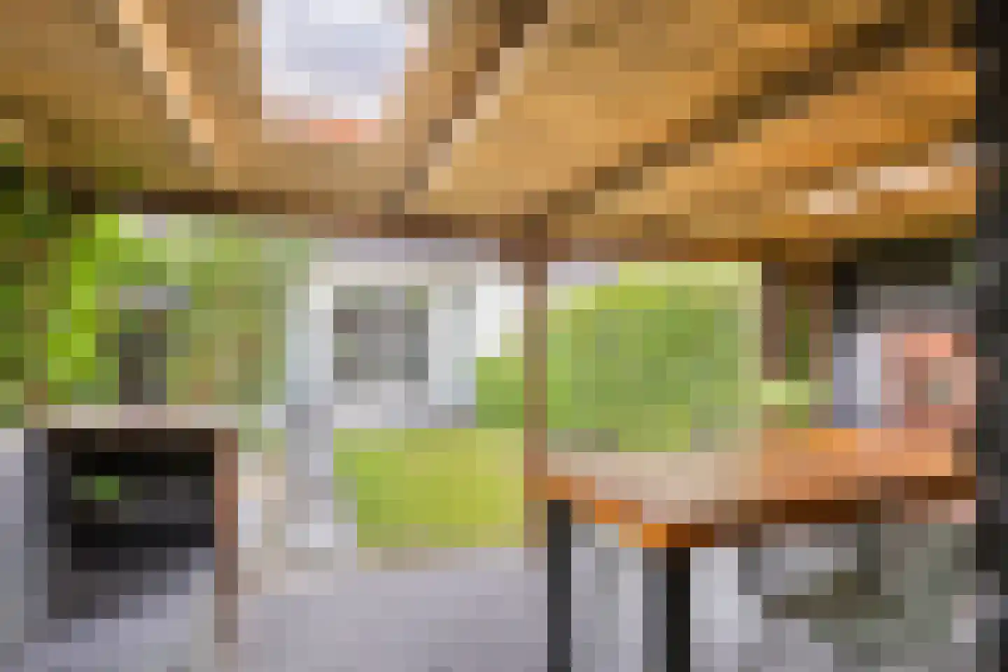 De Wouw 106 Gemert thumbnail 27