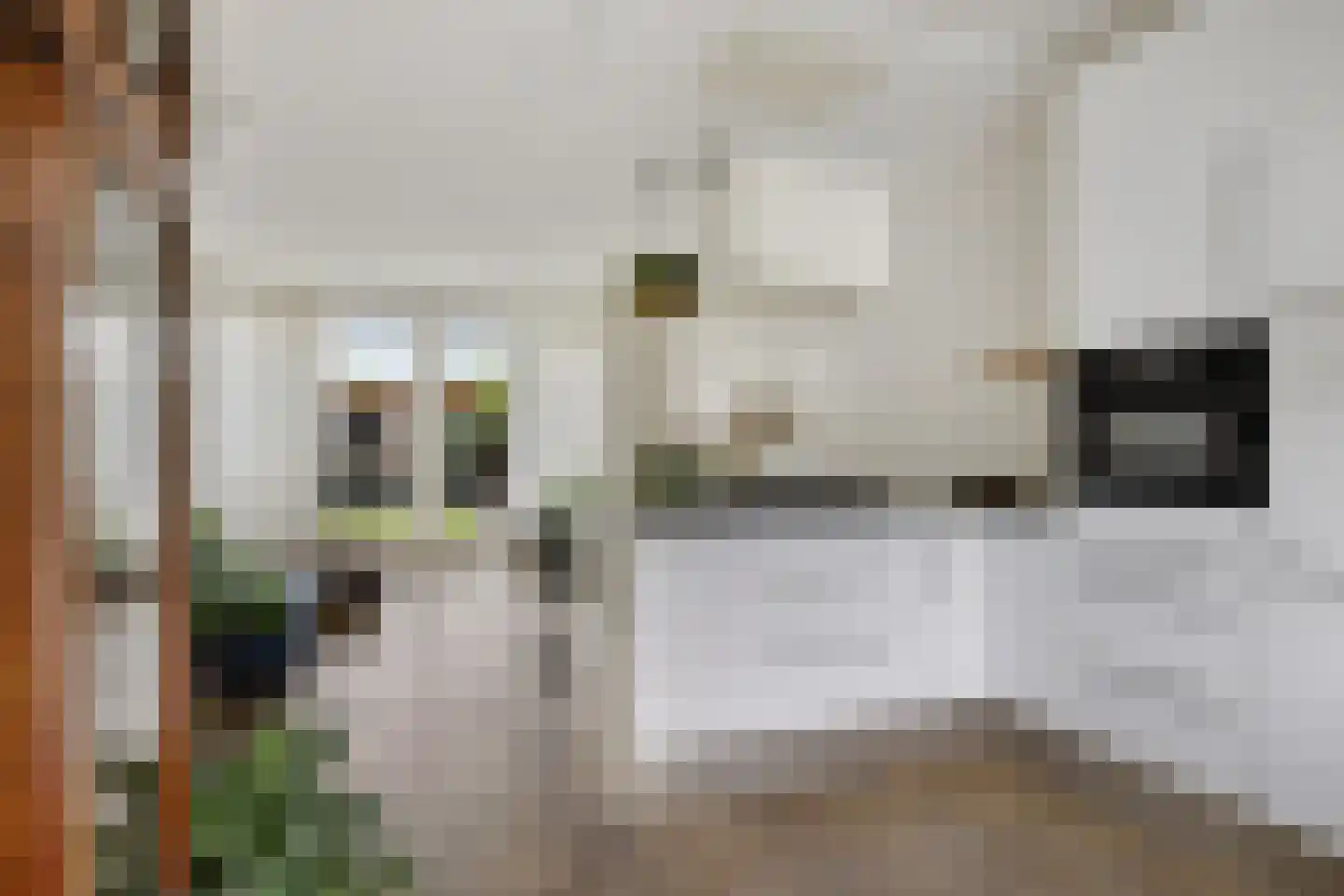 De Wouw 106 Gemert thumbnail 8