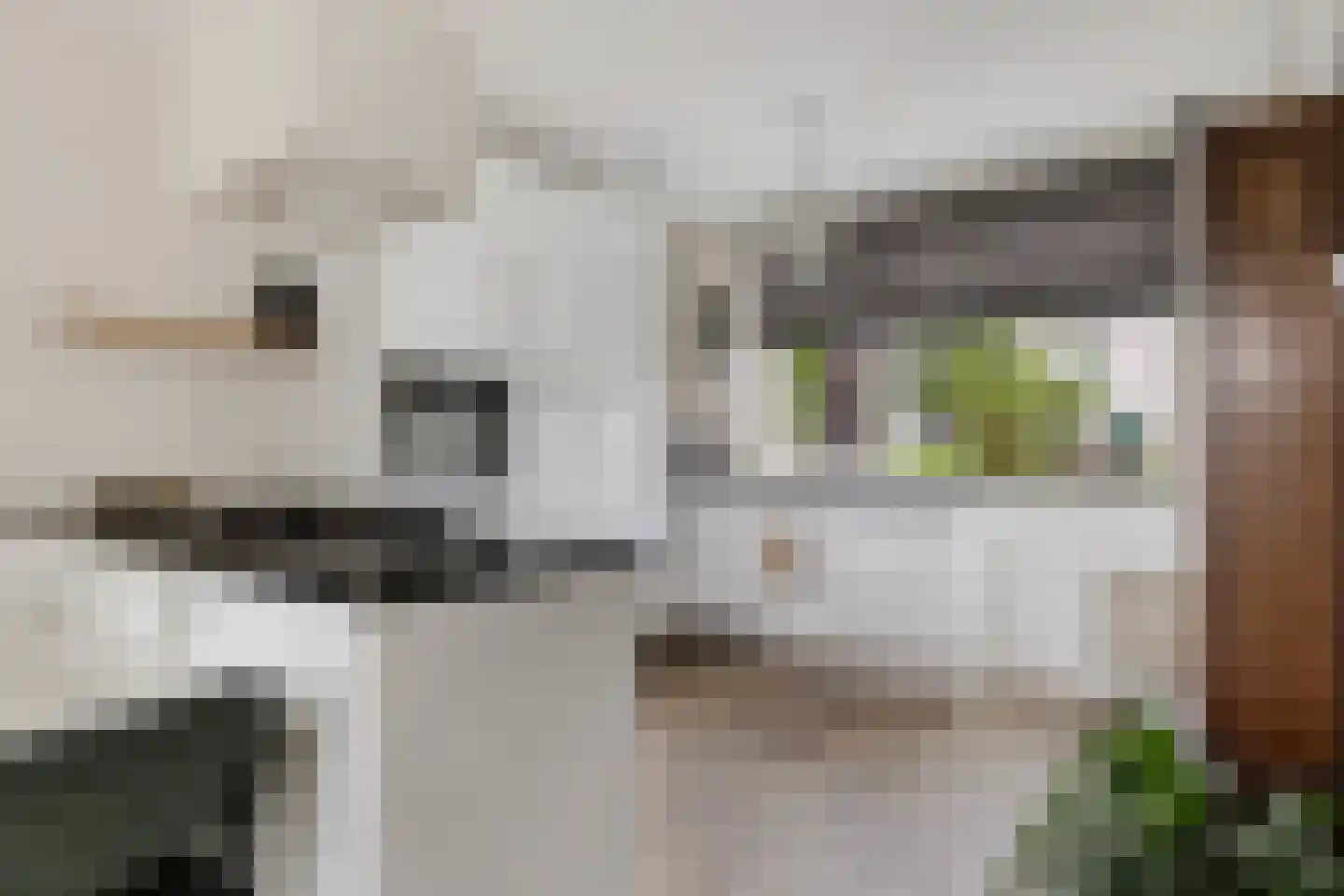 De Wouw 106 Gemert thumbnail 9