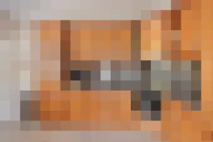 De Wouw 11 Gemert thumbnail 10