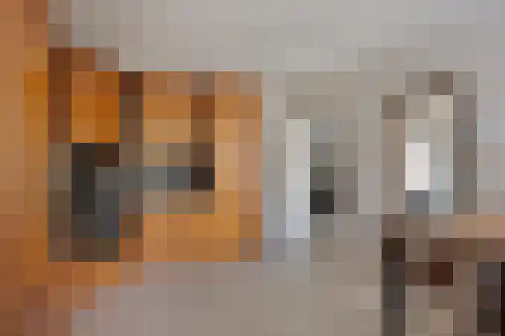 De Wouw 11 Gemert thumbnail 11