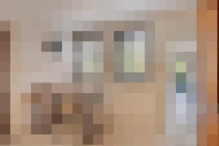 De Wouw 11 Gemert thumbnail 12