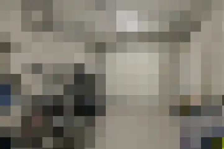 De Wouw 11 Gemert thumbnail 15