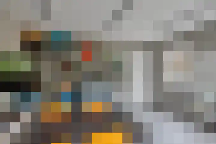 De Wouw 11 Gemert thumbnail 17