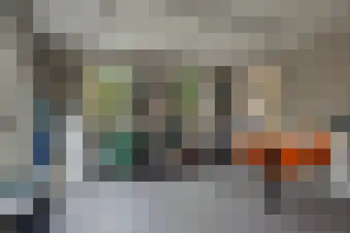 De Wouw 11 Gemert thumbnail 18