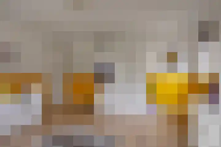 De Wouw 11 Gemert thumbnail 22