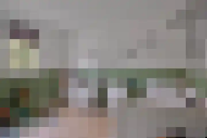 De Wouw 11 Gemert thumbnail 24
