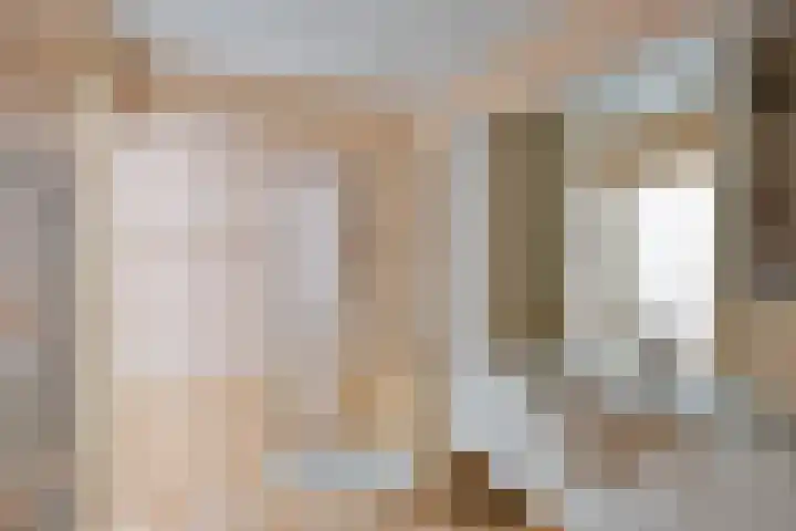 De Wouw 11 Gemert thumbnail 25