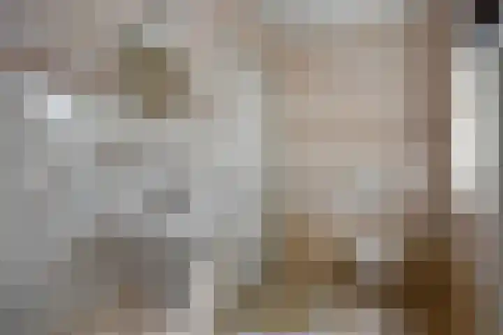 De Wouw 11 Gemert thumbnail 27