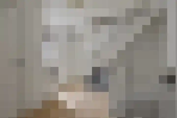 De Wouw 11 Gemert thumbnail 28