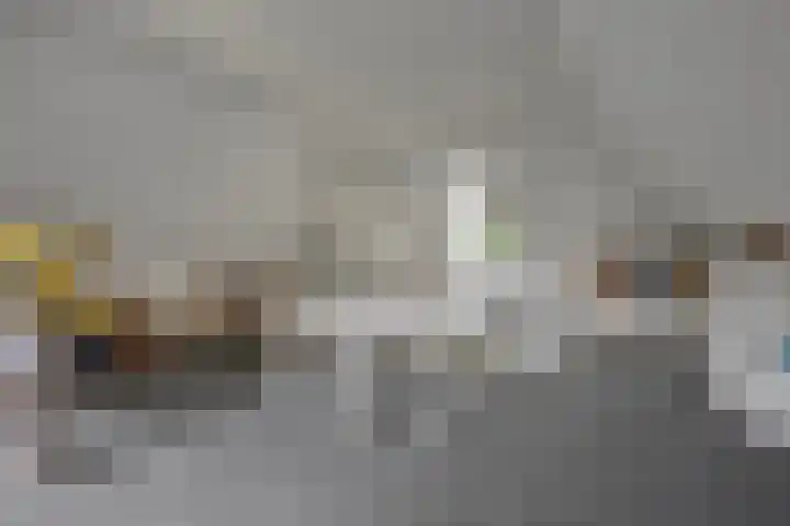 De Wouw 11 Gemert thumbnail 30